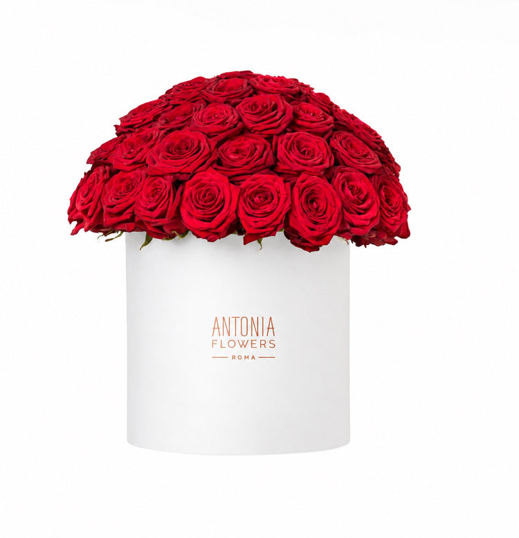 Composizione Floralia di rose rosse in Composizione Floralia di rose rosse in flower box bianca Antonia Flowers Roma