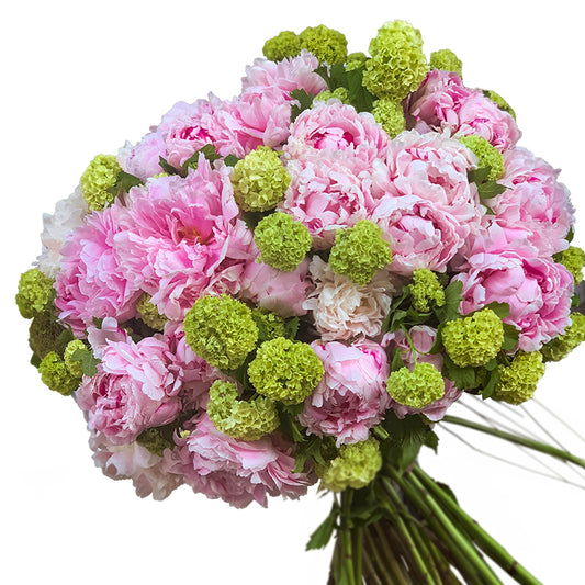 Bouquet Positano con peonie rosa e viburno verde