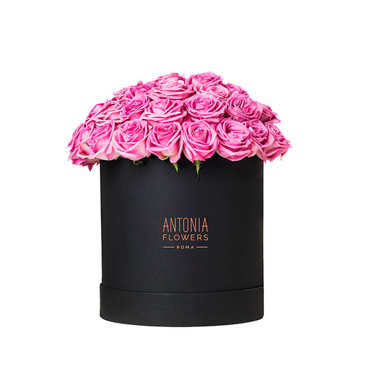 Flowerbox Portofino con rose rosa in box nera Antonia Flowers