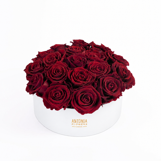 Flowerbox Florever con rose rosse stabilizzate in box bianca Antonia Flowers