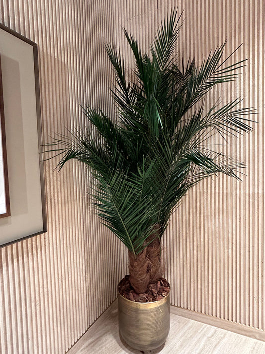 Palma stabilizzata Floritecture in vaso decorativo per ambienti interni