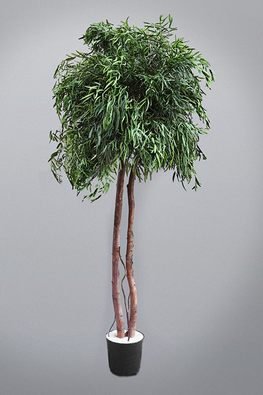 Albero stabilizzato Crown Planter con chioma verde