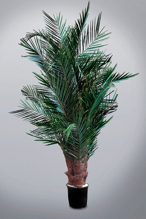Urban Jungle