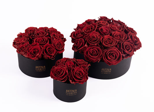 Flowerbox Florever con rose rosse stabilizzate in box nera Antonia Flowers