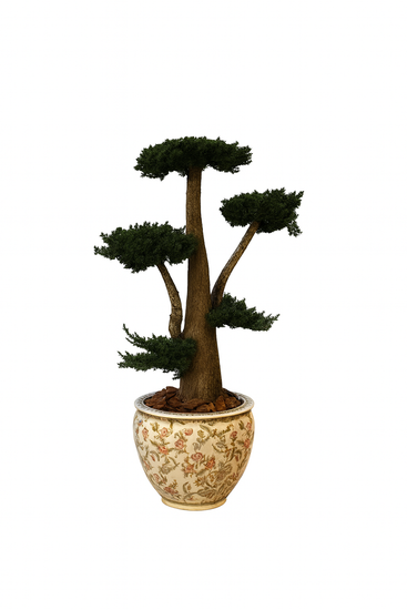 Albero stabilizzato Jumbo Small con chioma scolpita in vaso decorativo