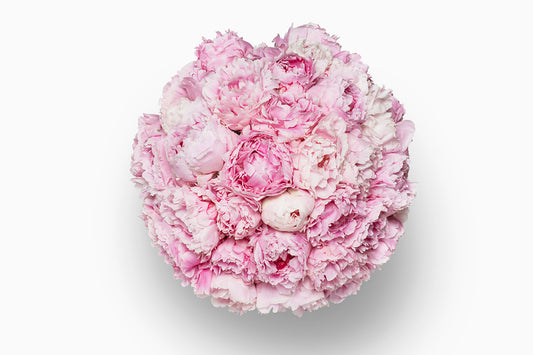 Bouquet di peonie rosa Bernhardt, vista dall’alto