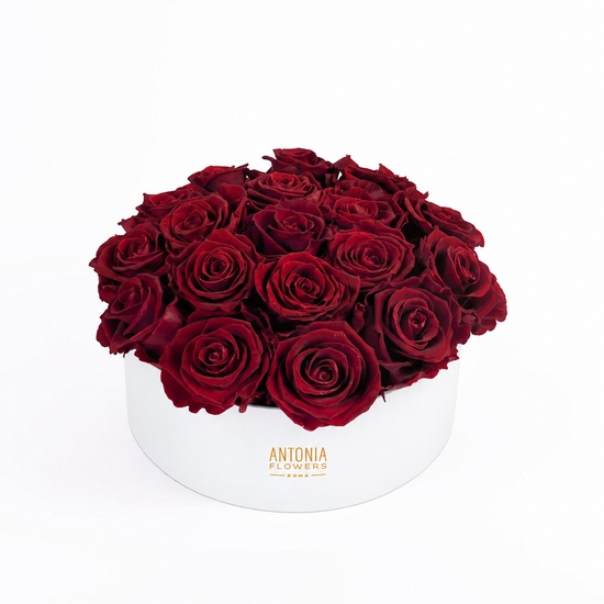 Flowerbox Florever con rose rosse stabilizzate in box bianca Antonia Flowers
